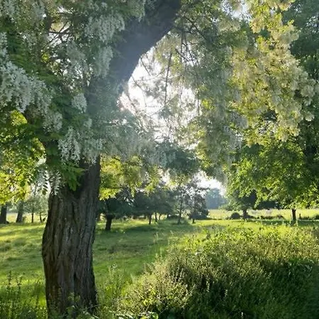 Le Domaine De La Gravette Vendégház