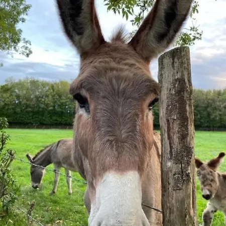 Vendégház Le Domaine De La Gravette *