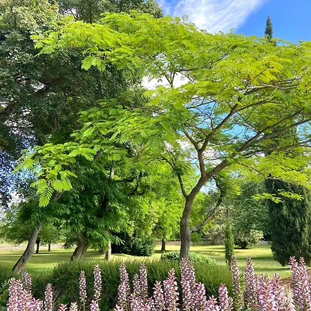 Le Domaine De La Gravette