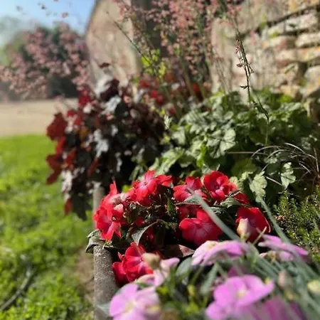 Le Domaine De La Gravette Beauvoir-sur-Niort