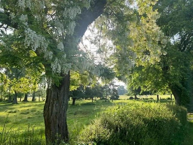 Le Domaine De La Gravette Pensjonat