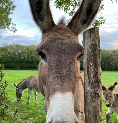 Pensjonat Le Domaine De La Gravette *