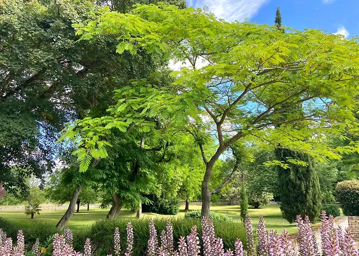 Le Domaine De La Gravette